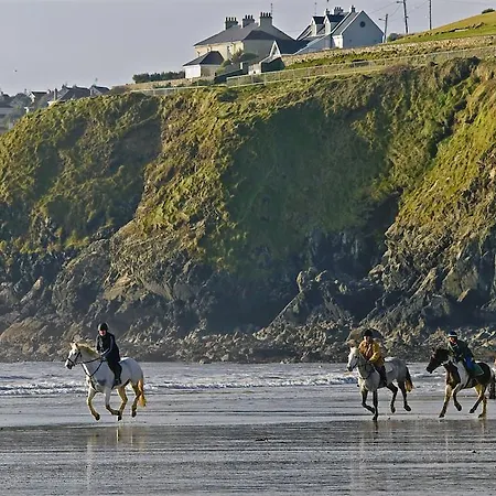 Haven Tramore