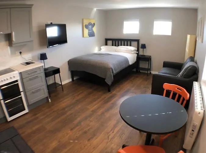 Haven * טראמור